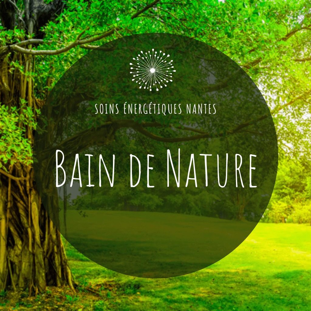les bains de nature proposés par Soins Energétiques Nantes