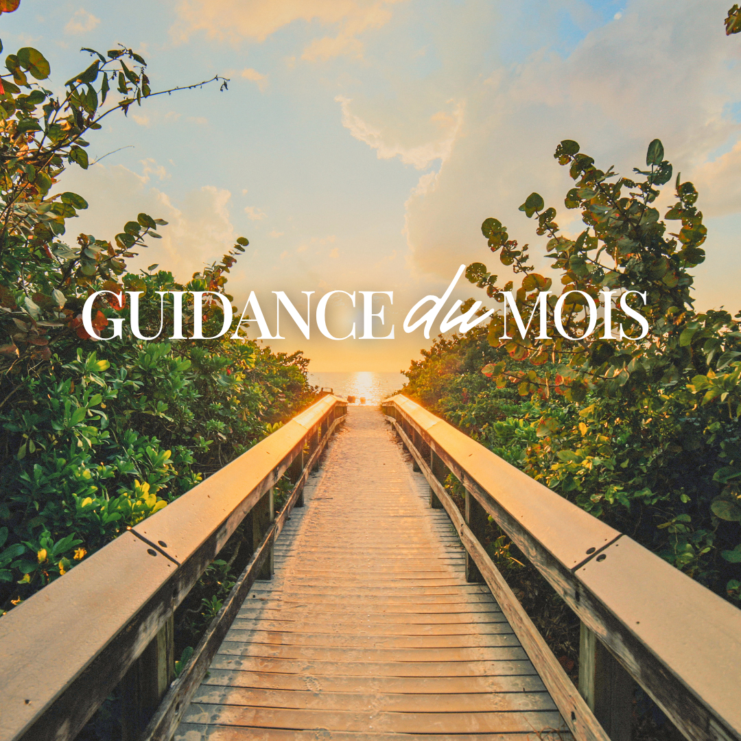 Lire la suite à propos de l’article Guidance Mai 2026